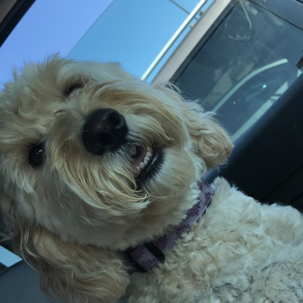 Meet your Posher, Emily